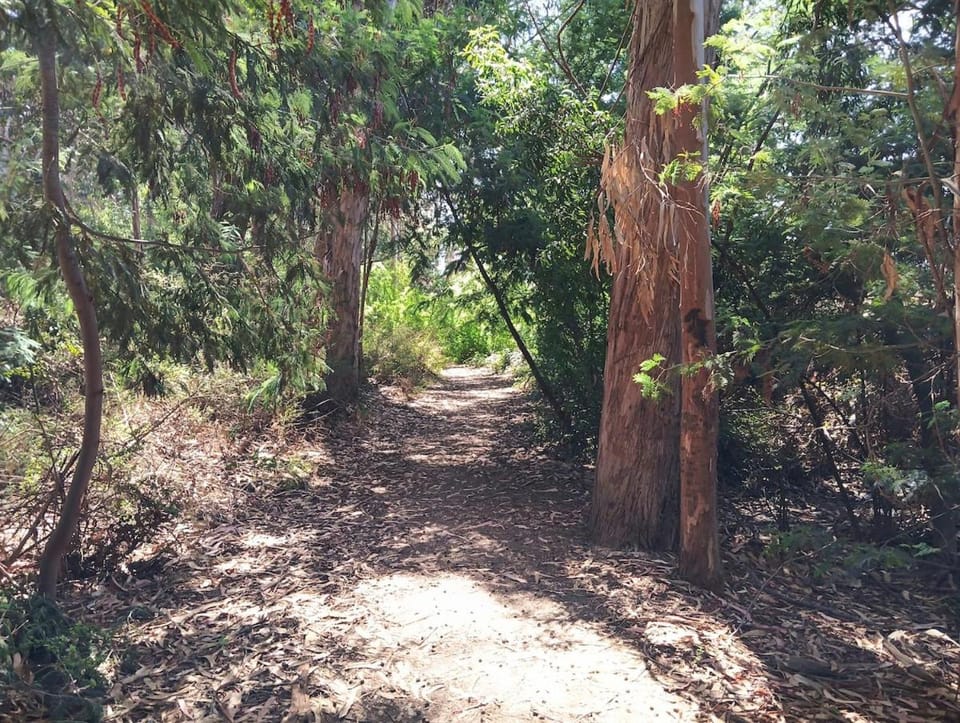 Natural landscape