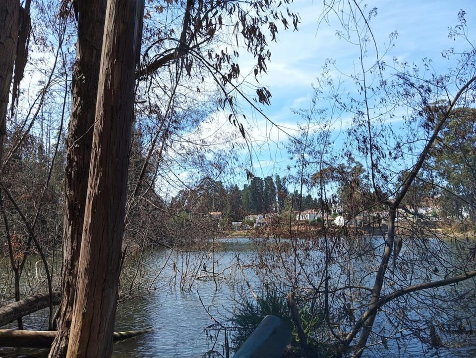 Lake view