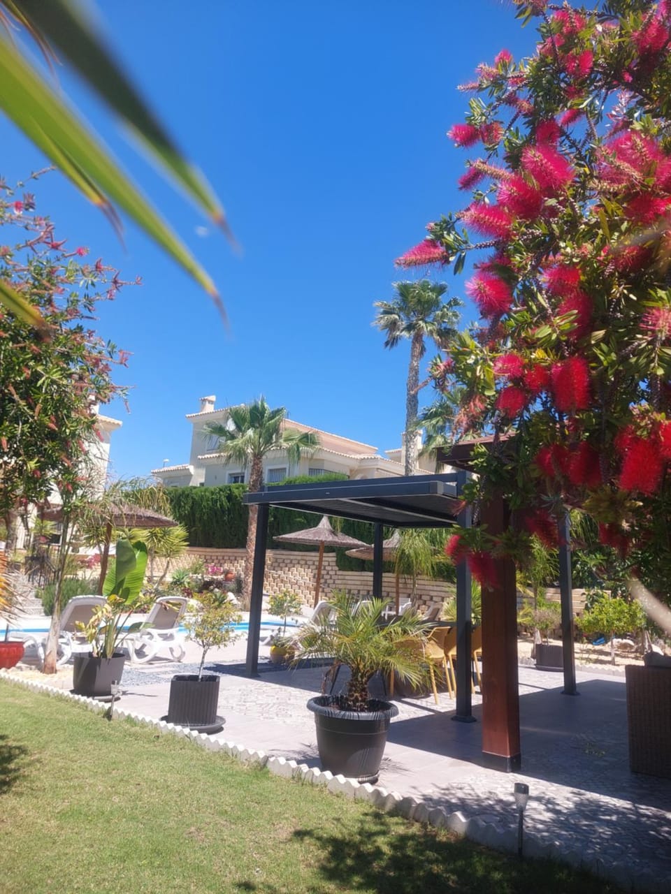 Luxury Villa with Pool & Garden Villa in Alacantí