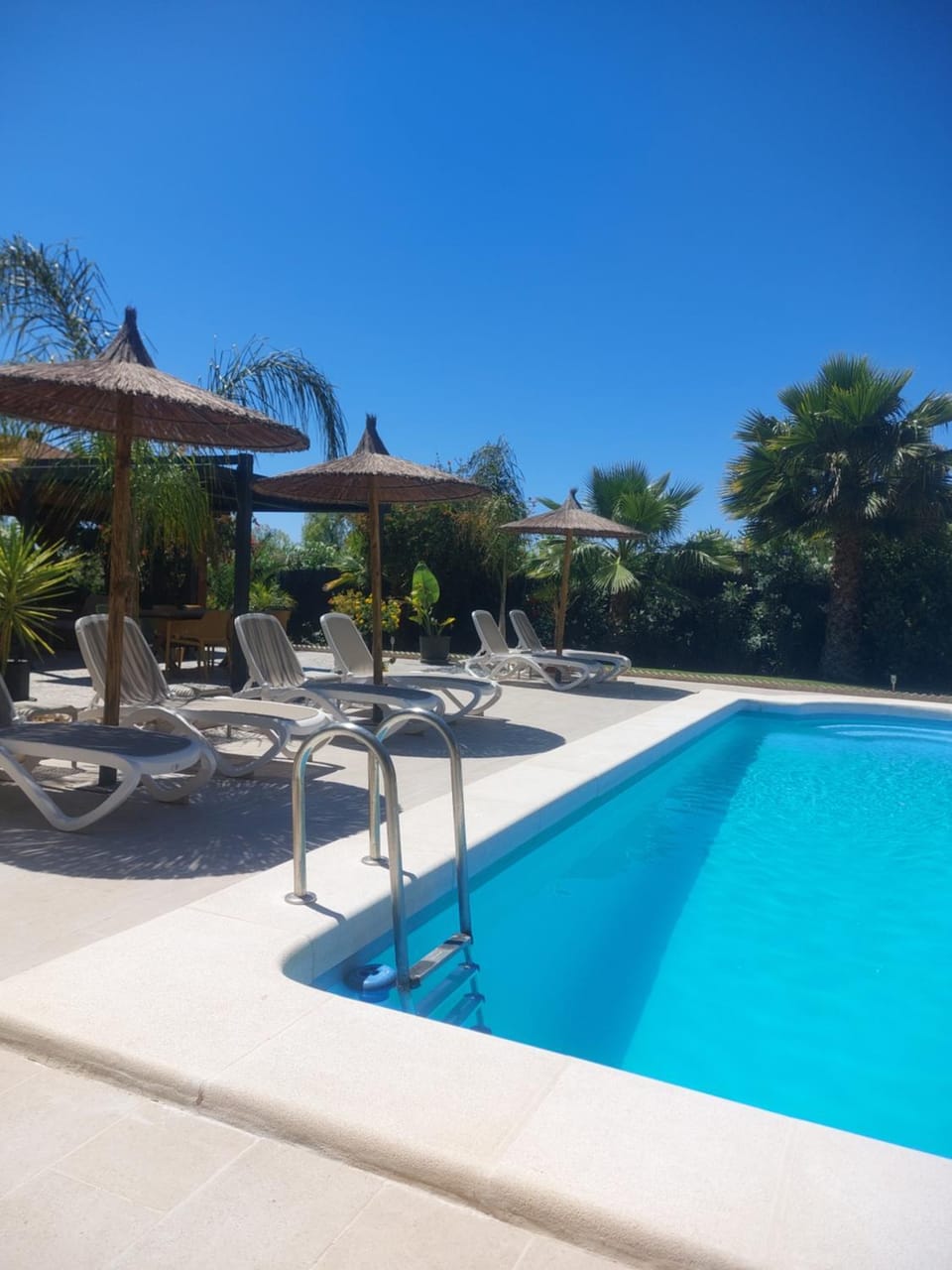 Luxury Villa with Pool & Garden Villa in Alacantí