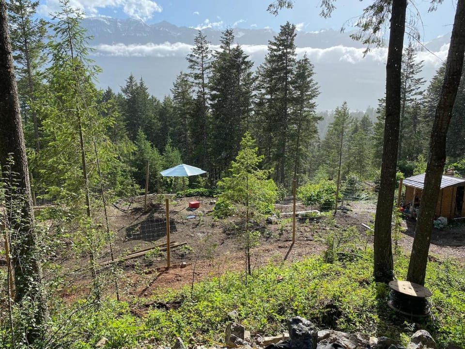 Tamarack Suite House in Golden