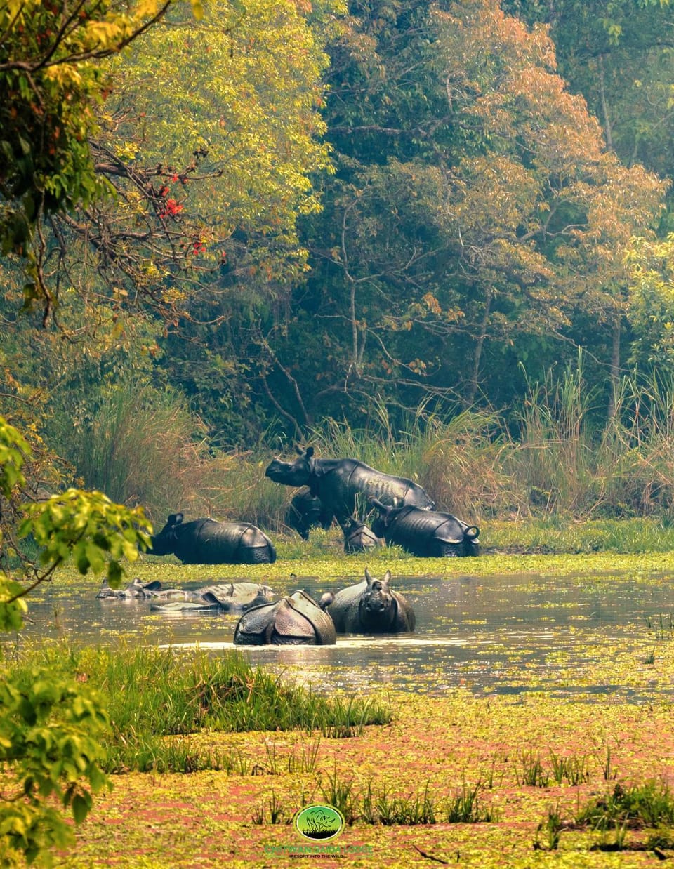 Chitwan Gaida Lodge - Animal Lovers & Birdwatchers Paradise Hotel in Bagmati Province, Nepal