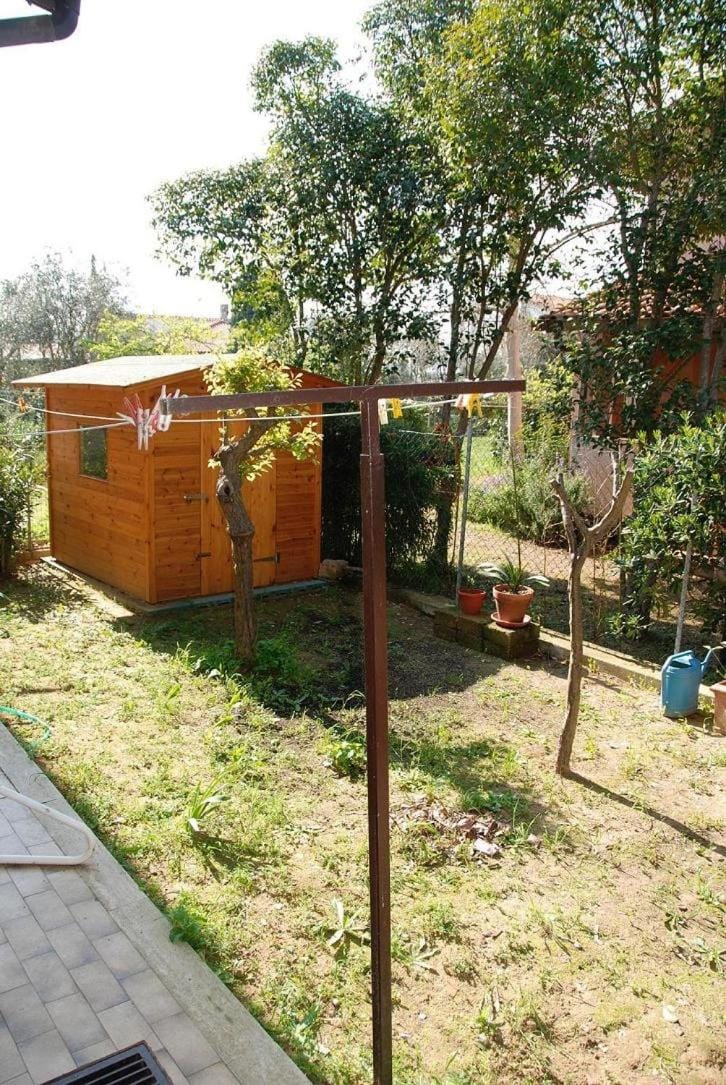 Garden, Garden view