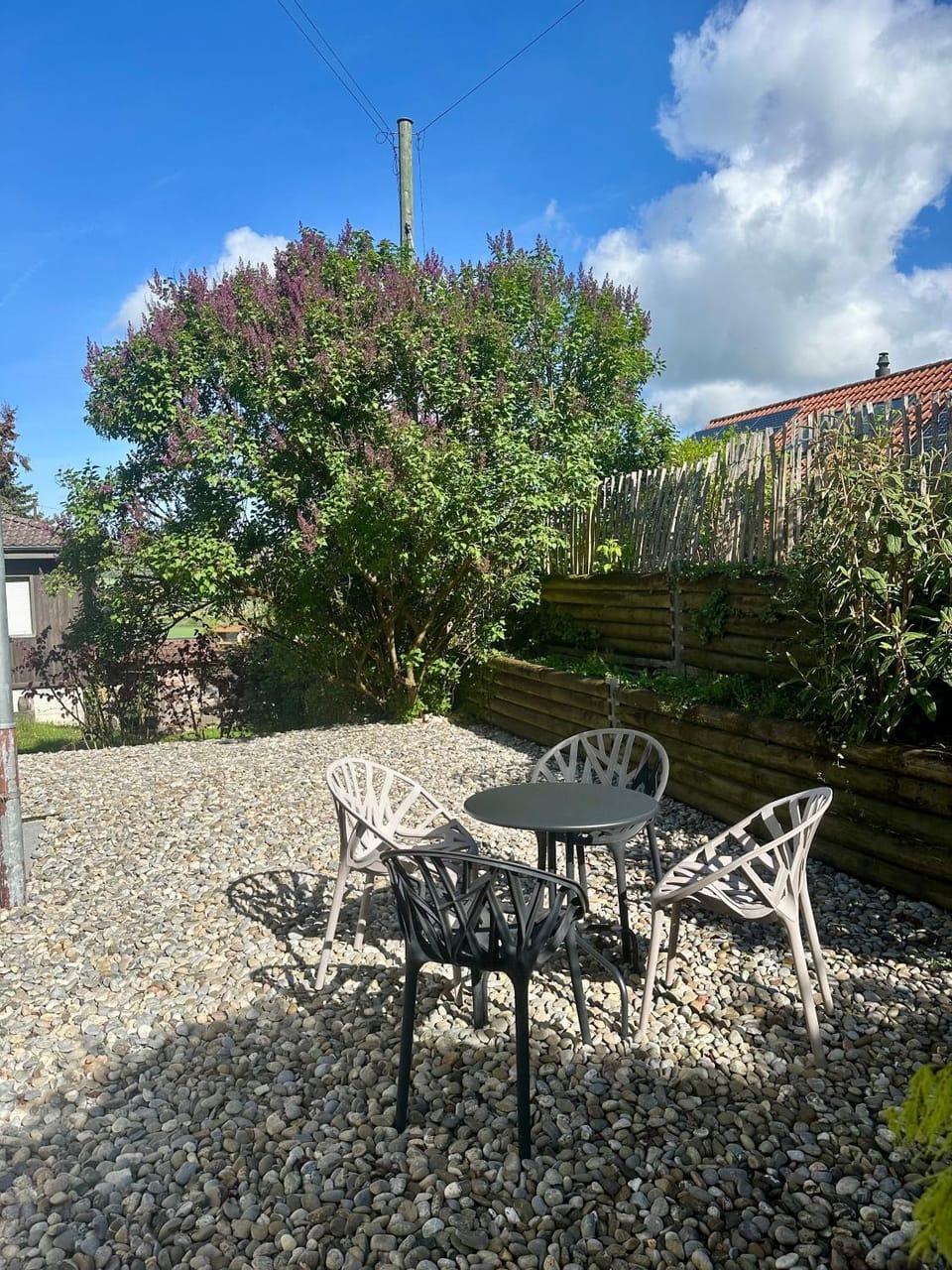 Garden, Seating area, Garden view