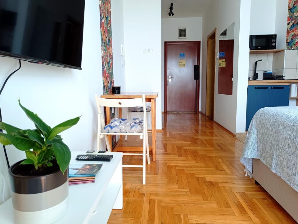 Apartment Terminal Apartment in Vojvodina