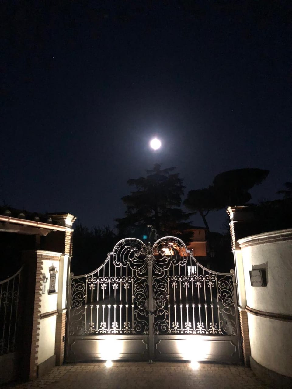 Night