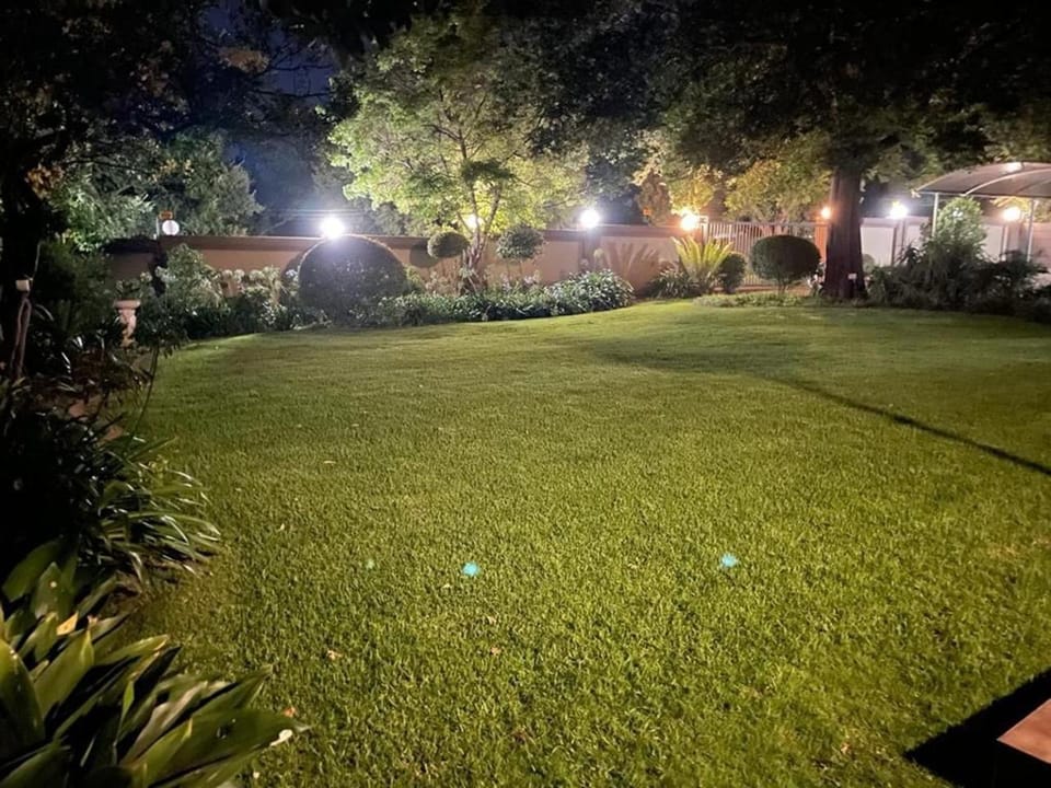 Night, Garden, Garden view