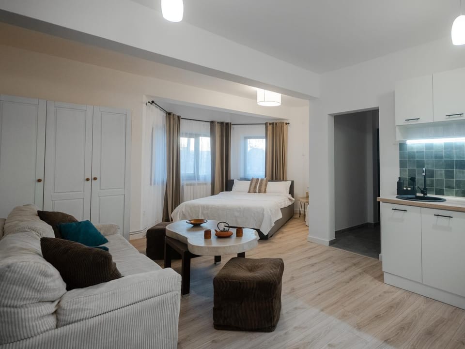 The Urban Retreat - Amelie Charm Apartment in Moldova