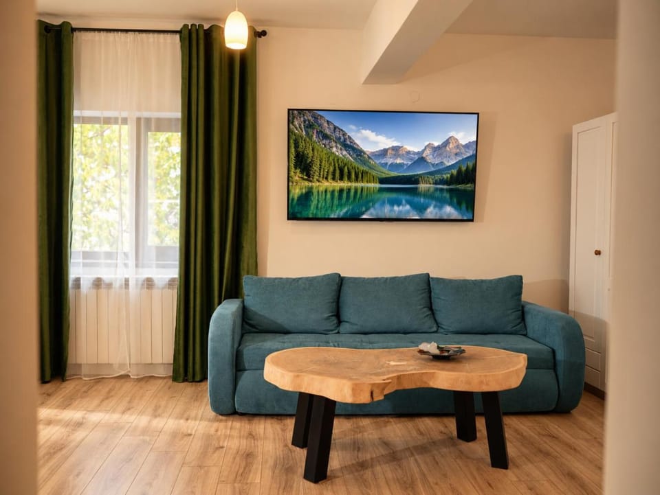 Natural landscape, TV and multimedia, Living room, Seating area, Mountain view, hair dryier, air conditioner, air conditioner