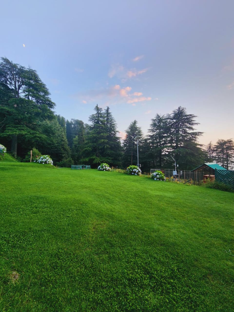 Nearby landmark, Neighbourhood, Activities, Other