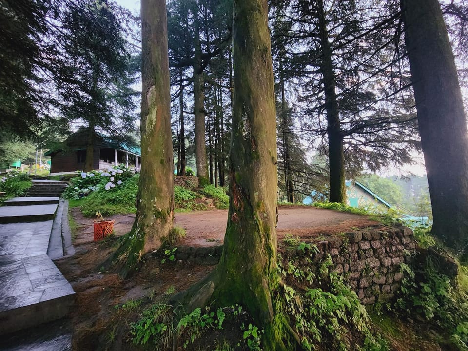 Nearby landmark, Neighbourhood