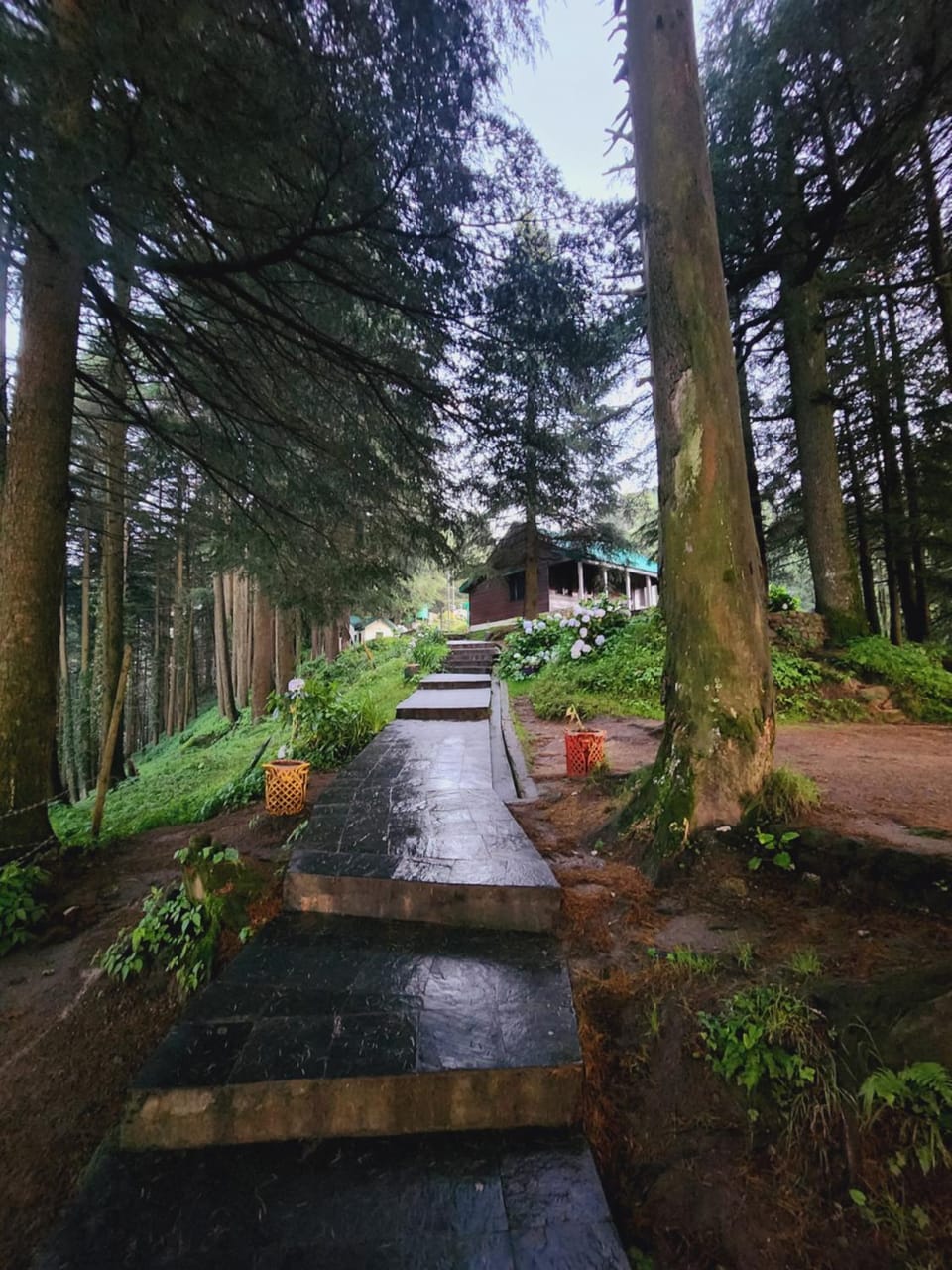 Nearby landmark, Neighbourhood