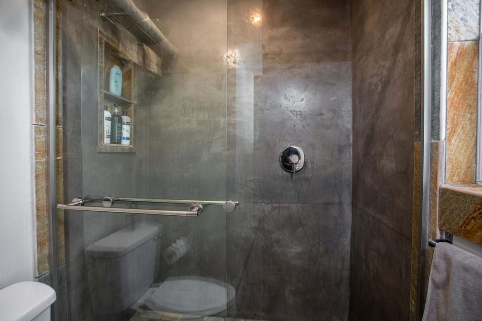 Kitchen Walk-in Shower One block off Main House in Fredericksburg