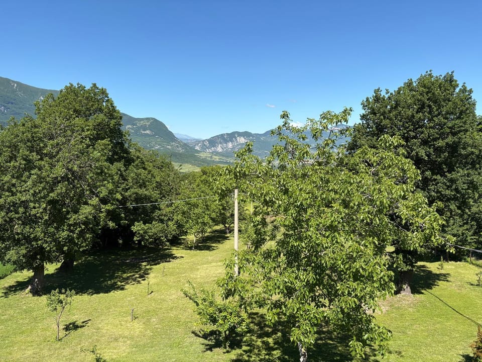Mountain view