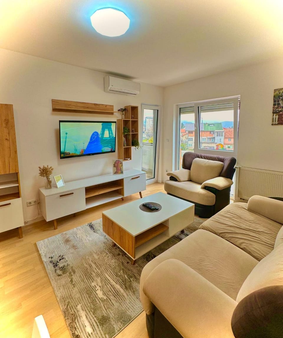 Communal lounge/ TV room, TV and multimedia, Living room, Seating area, Evening entertainment, air conditioner