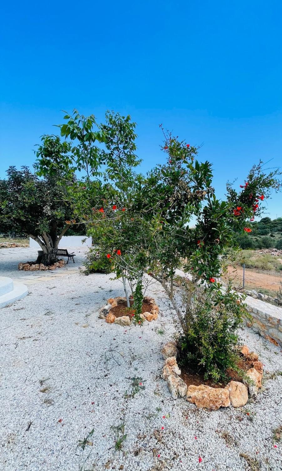 Villa Voleonas-private pool & olive grove Chania House in Crete