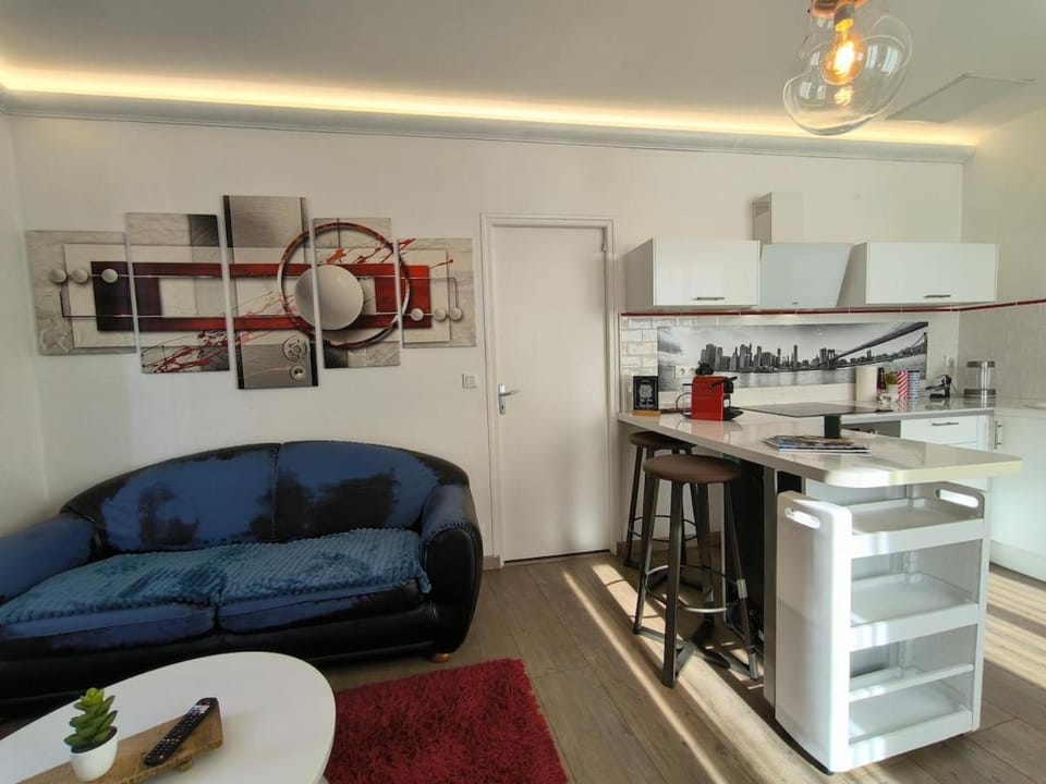 Appartement Centre Ville Cosy Apartment in Pau