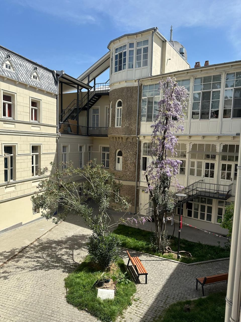 Garden view