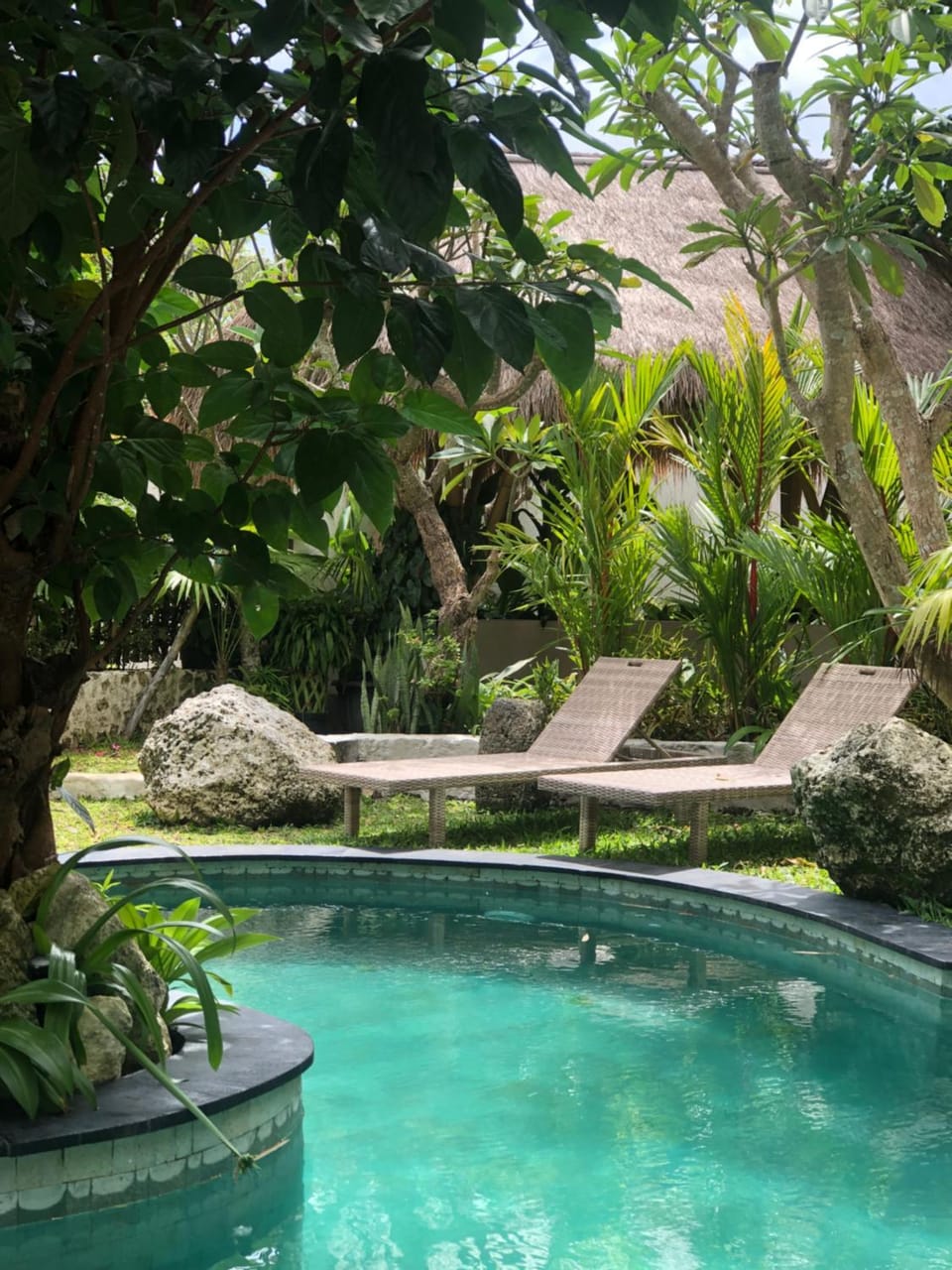 Day, Natural landscape, Garden, Garden view, Pool view, Swimming pool, sunbed