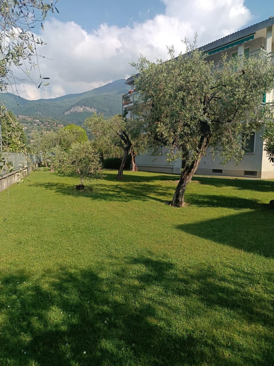 Garden, Garden view