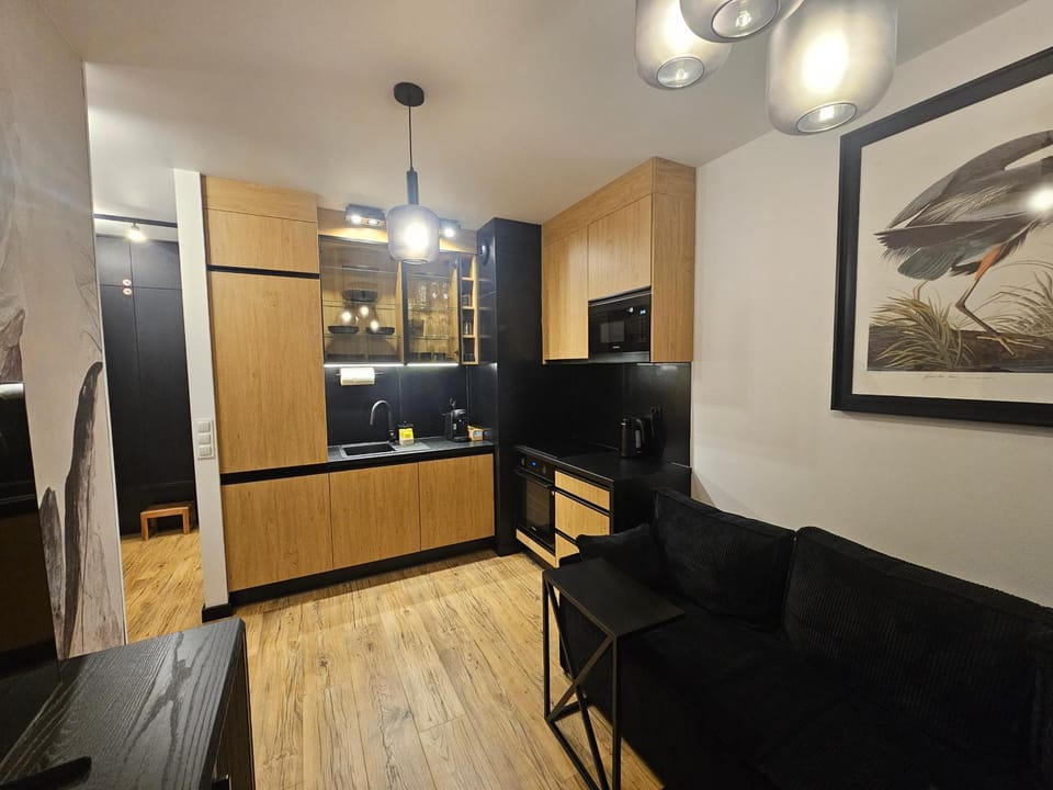 Kitchen or kitchenette, Living room, oven