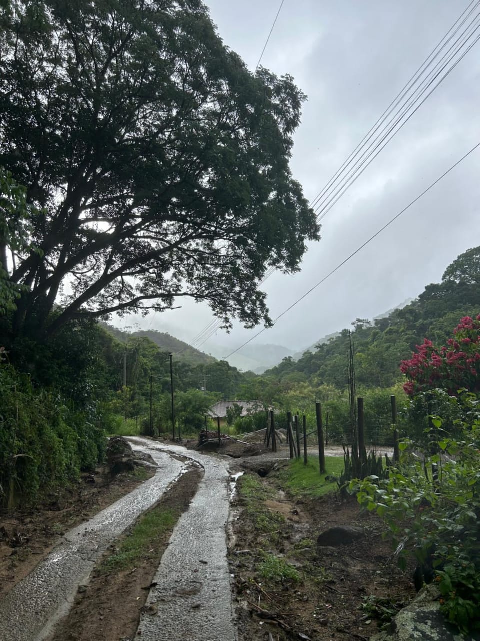 Quiet street view