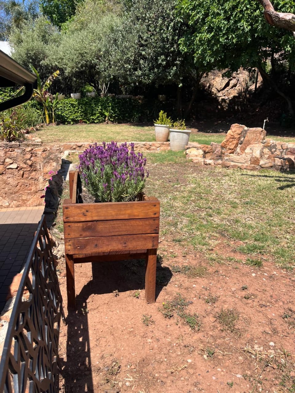 Spring, Garden