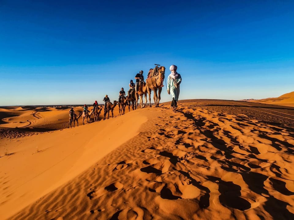 Natural landscape, group of guests