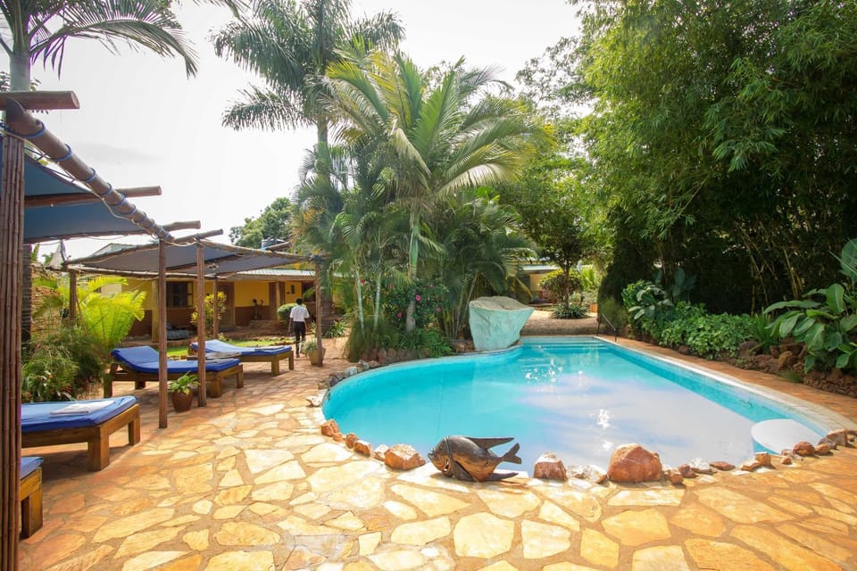Pool view, Swimming pool