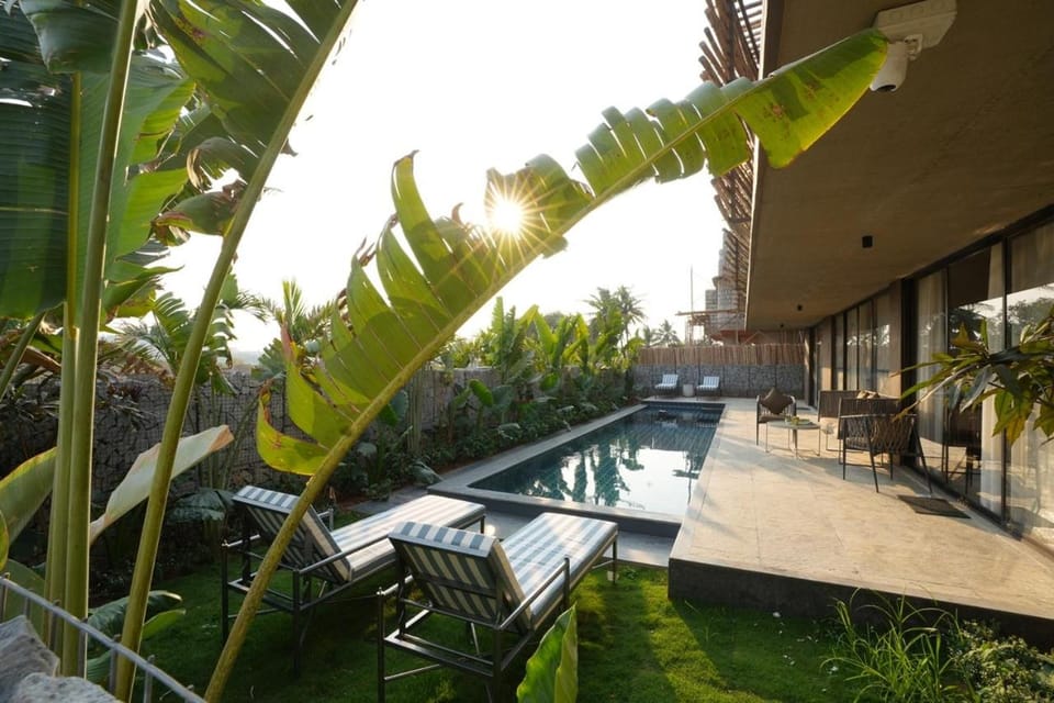Spring, Day, Garden, Garden view, Pool view, Swimming pool, sunbed