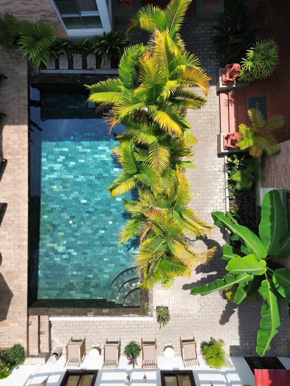 Day, Garden, Garden view, Pool view, Swimming pool