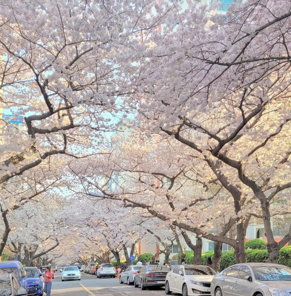 Nearby landmark, Spring, Natural landscape