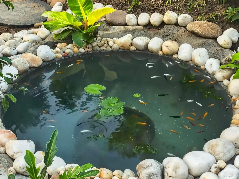 Shivoham Homestay Vacation rental in Varkala