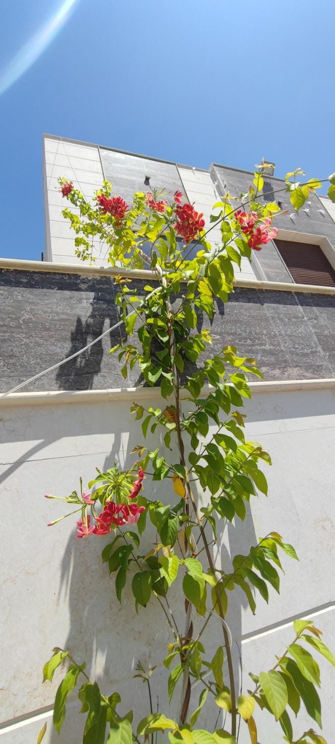 Villa 6 Vacation rental in Ajman