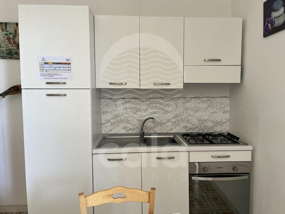 Kitchen or kitchenette, kitchen