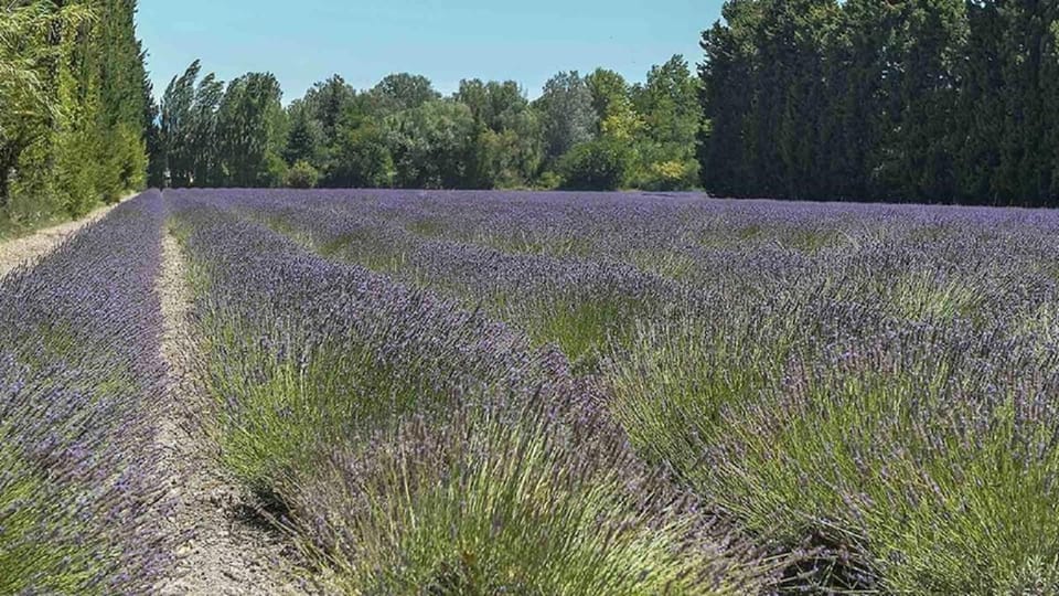 Casa Luma House in Provence-Alpes-Côte d'Azur