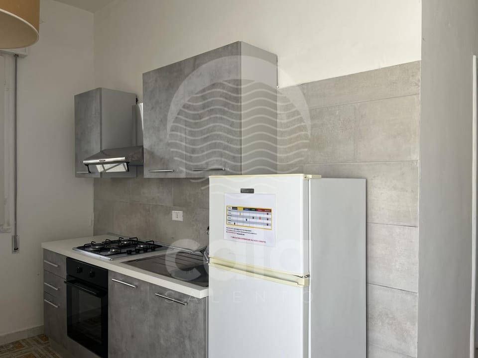 Kitchen or kitchenette, kitchen