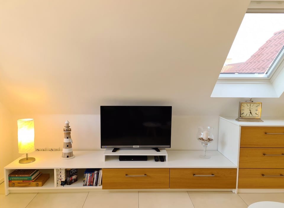 TV and multimedia