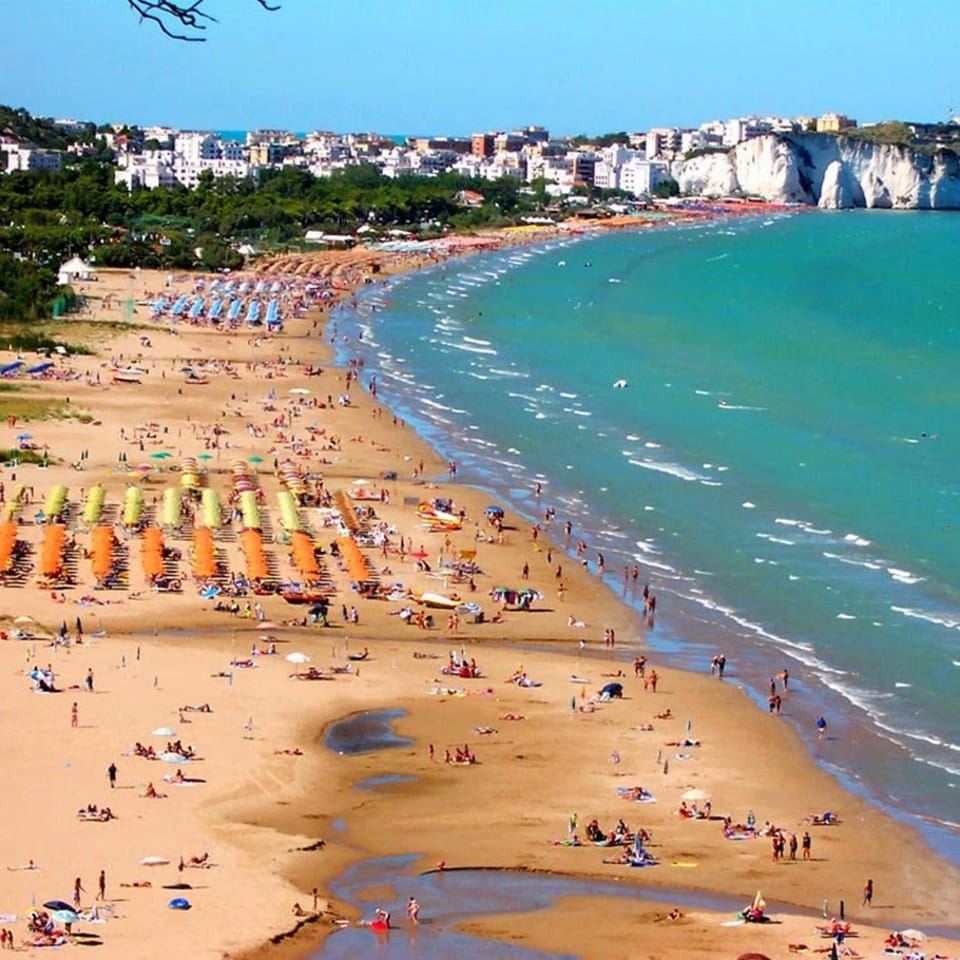 Beach, Beach, City view, Sea view
