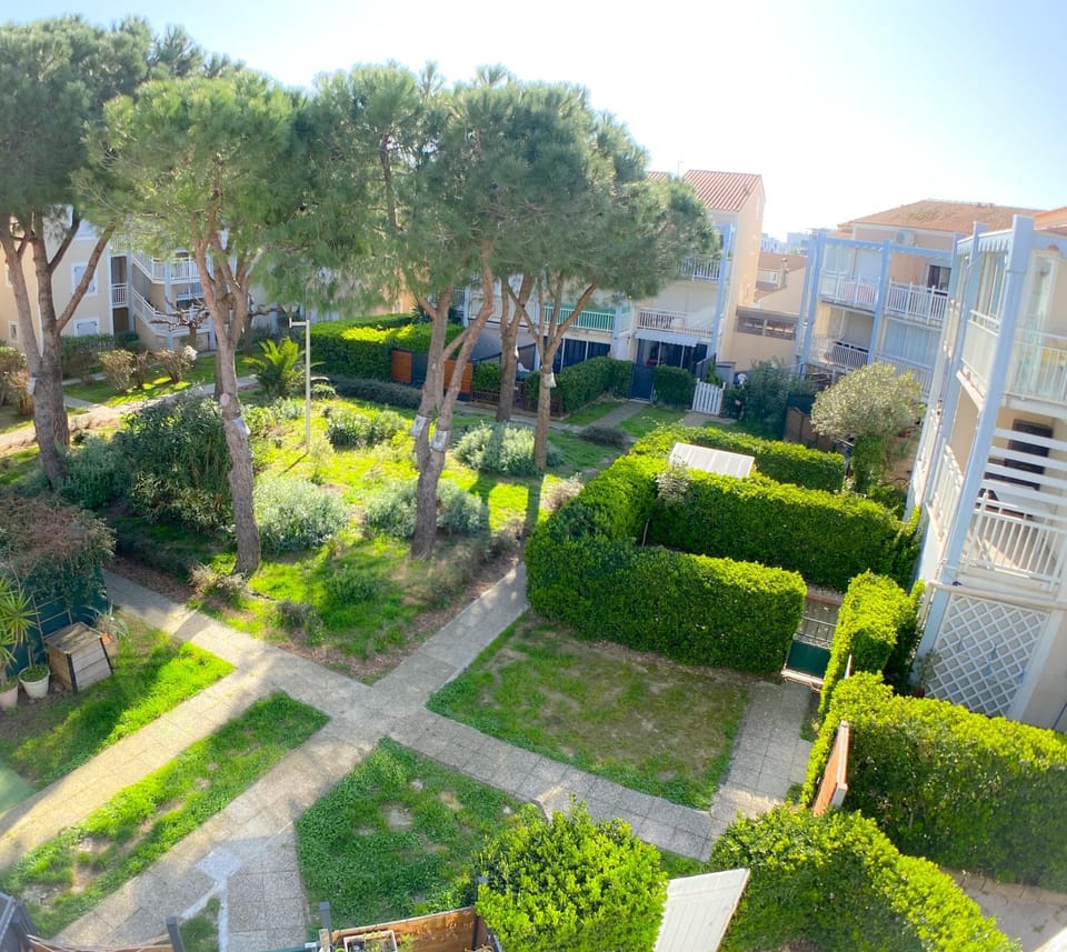 Day, Garden, Garden view