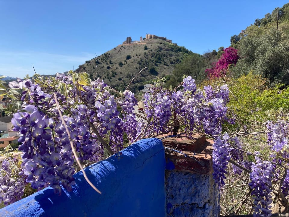 Day, Natural landscape, Mountain view