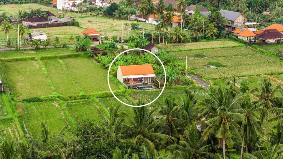 Property building, Bird's eye view