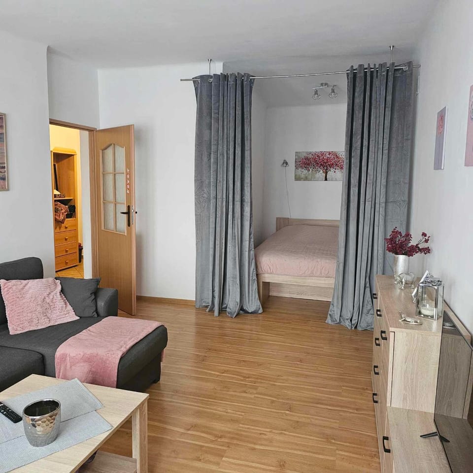 Bed, Living room, Photo of the whole room, Seating area, Bedroom