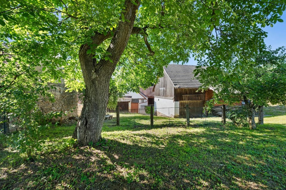 Natural landscape, Garden, Garden view
