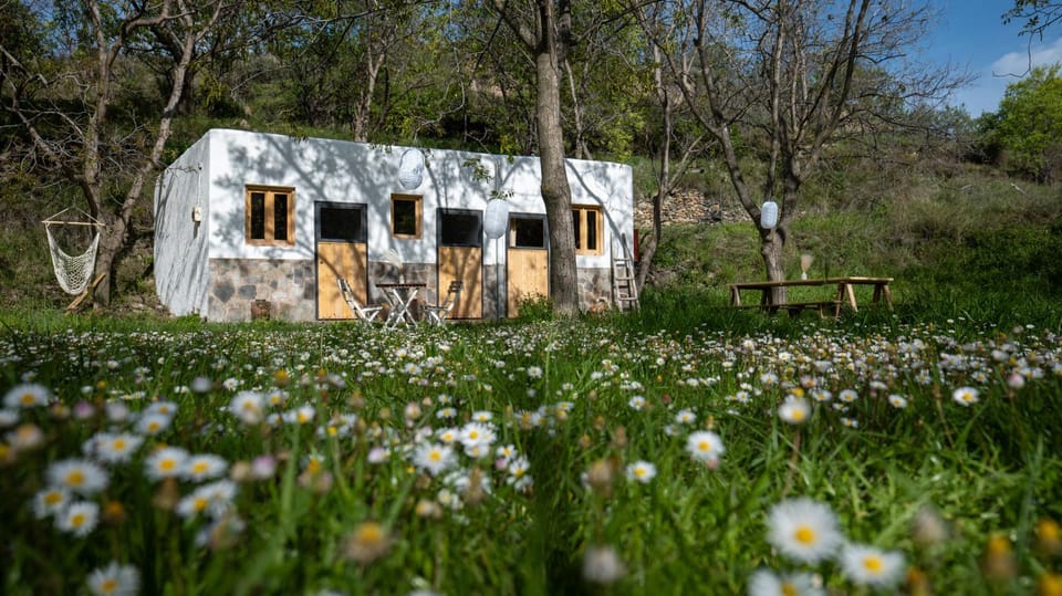 Property building, Spring, Natural landscape, Garden, Garden view