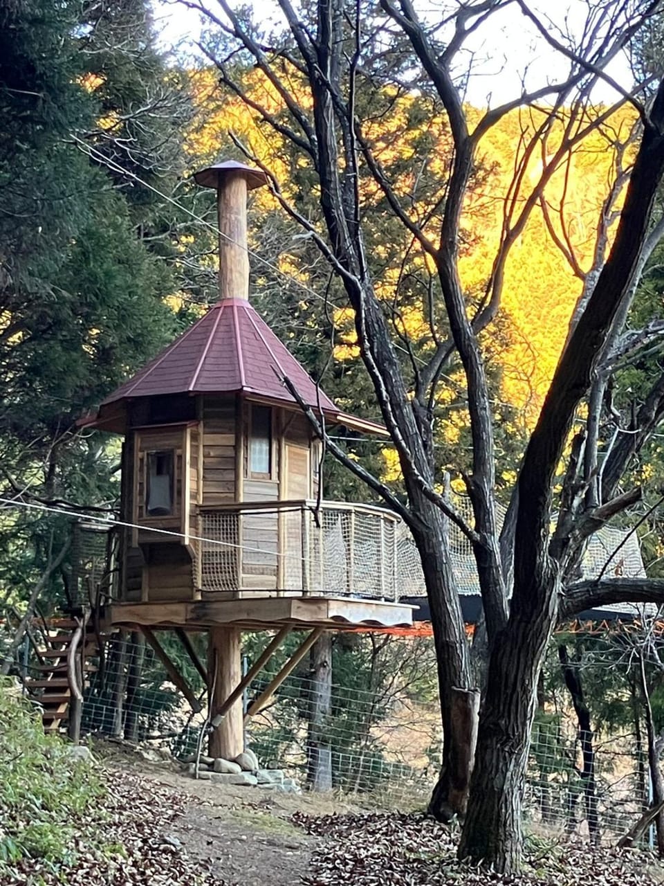 ツリーハウスのある貸別荘 HoToLo House in Tokyo Prefecture