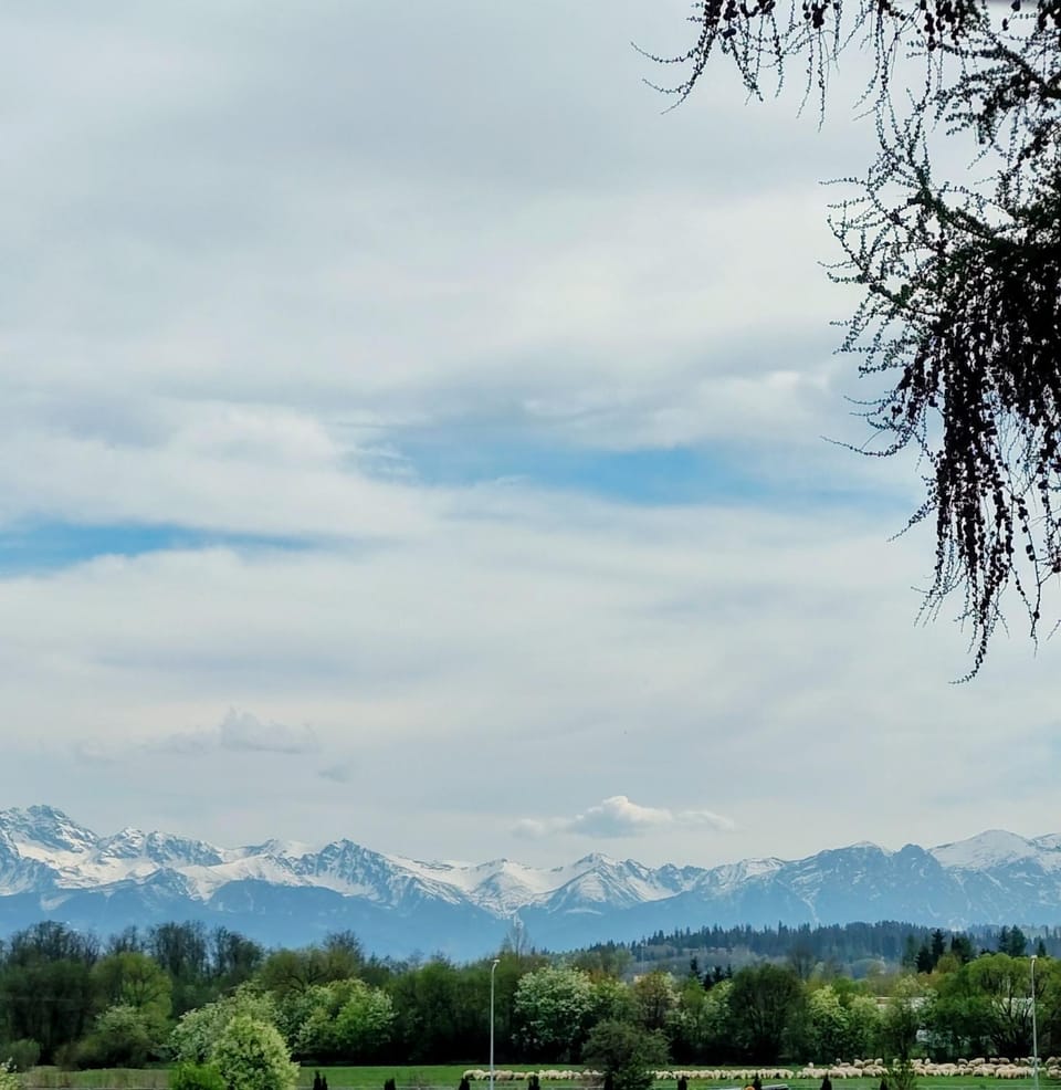 Mountain view