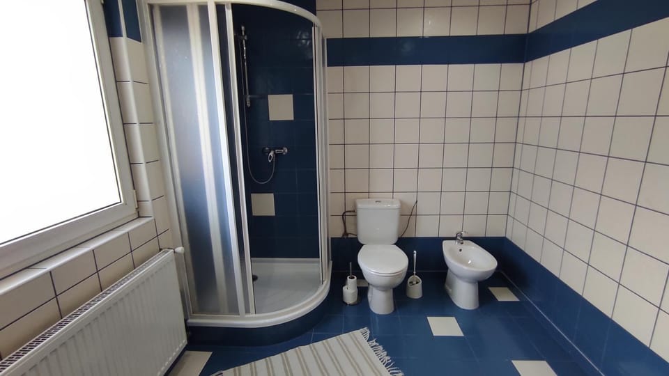 Toilet, Bathroom, bidet