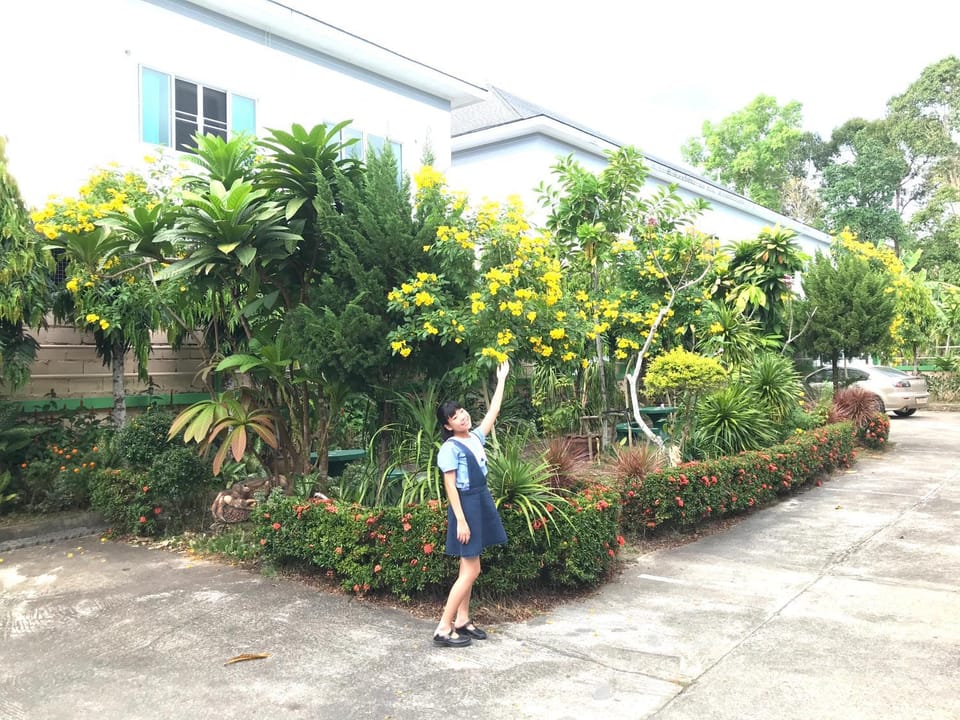 Garden, Garden view
