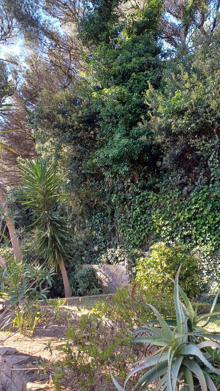 Casa Nora House in Tuscany